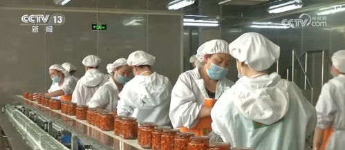 工業潤滑油科技 技術研發驅動鄉村產業振興與韌性提升